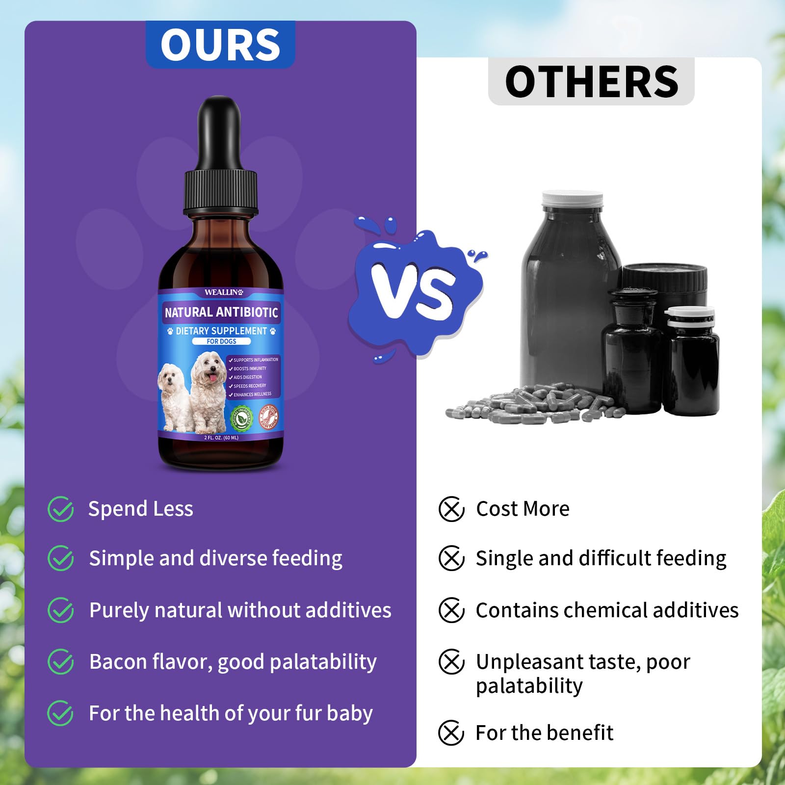WeAllIn antibiotiques chien – flacon pratique pour l'utilisation quotidienne