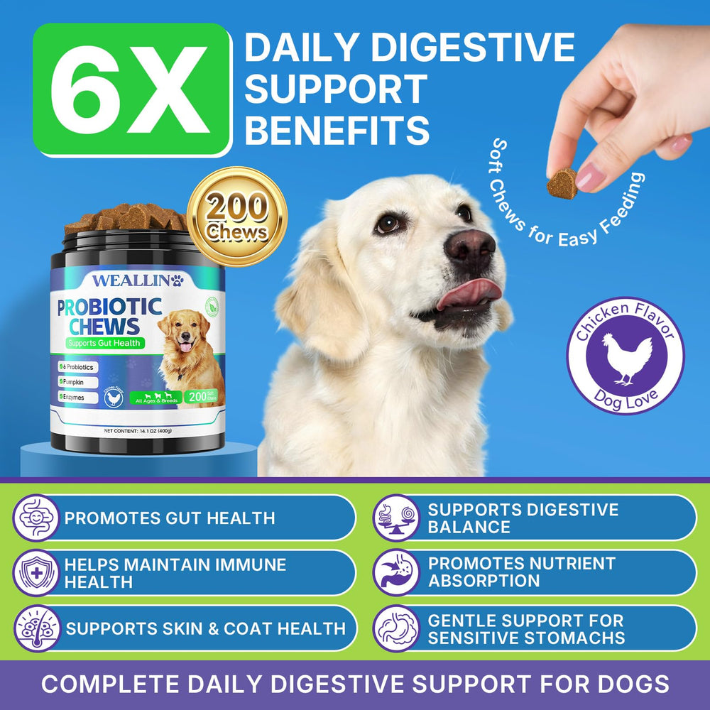 WEALLIN bocal probiotiques chien 200 bouchées, format pratique pour routine quotidienne.