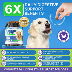 WEALLIN bocal probiotiques chien 200 bouchées, format pratique pour routine quotidienne.