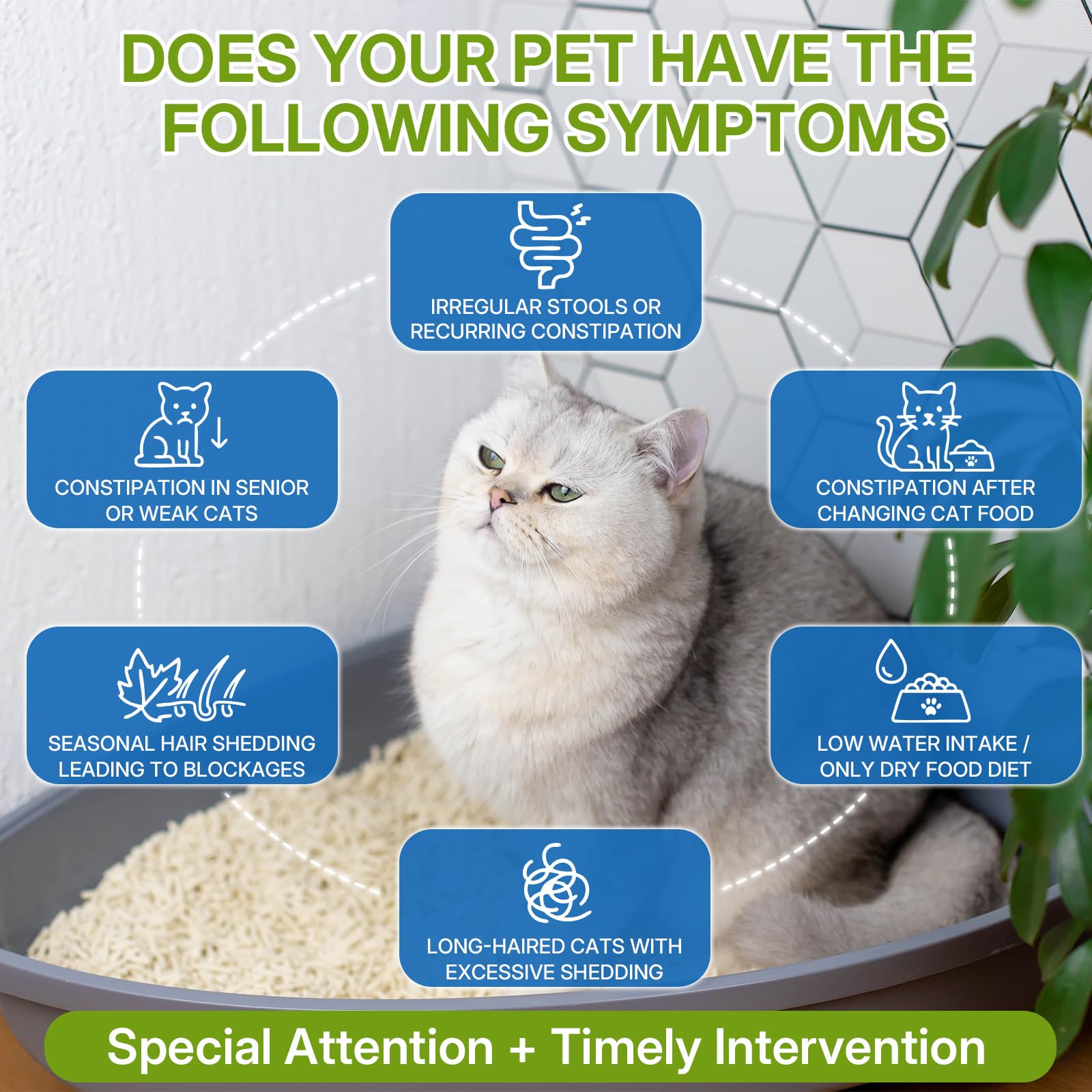 Chat buvant l'eau avec WEALLIN, absorption facilitée du supplément.
