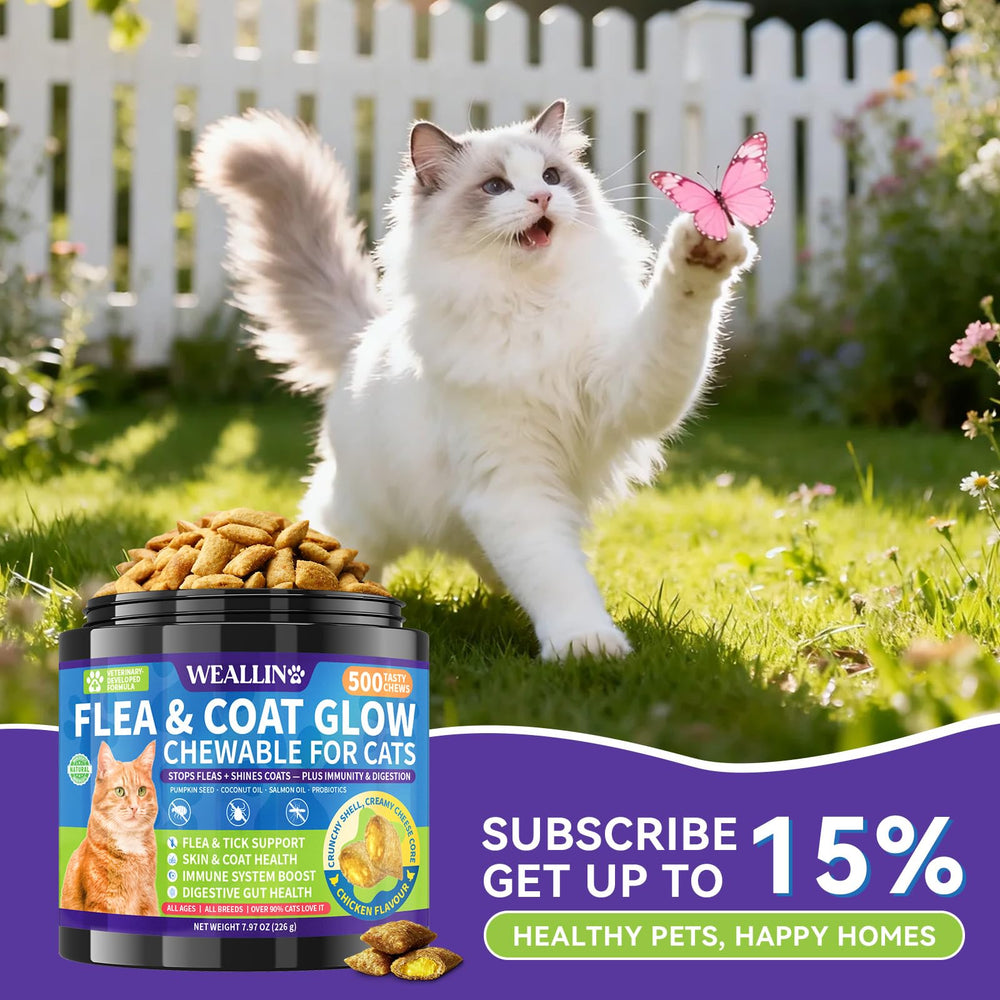 WEALLIN pour chatons et chats adultes, alimentation pratique et prévention quotidienne.