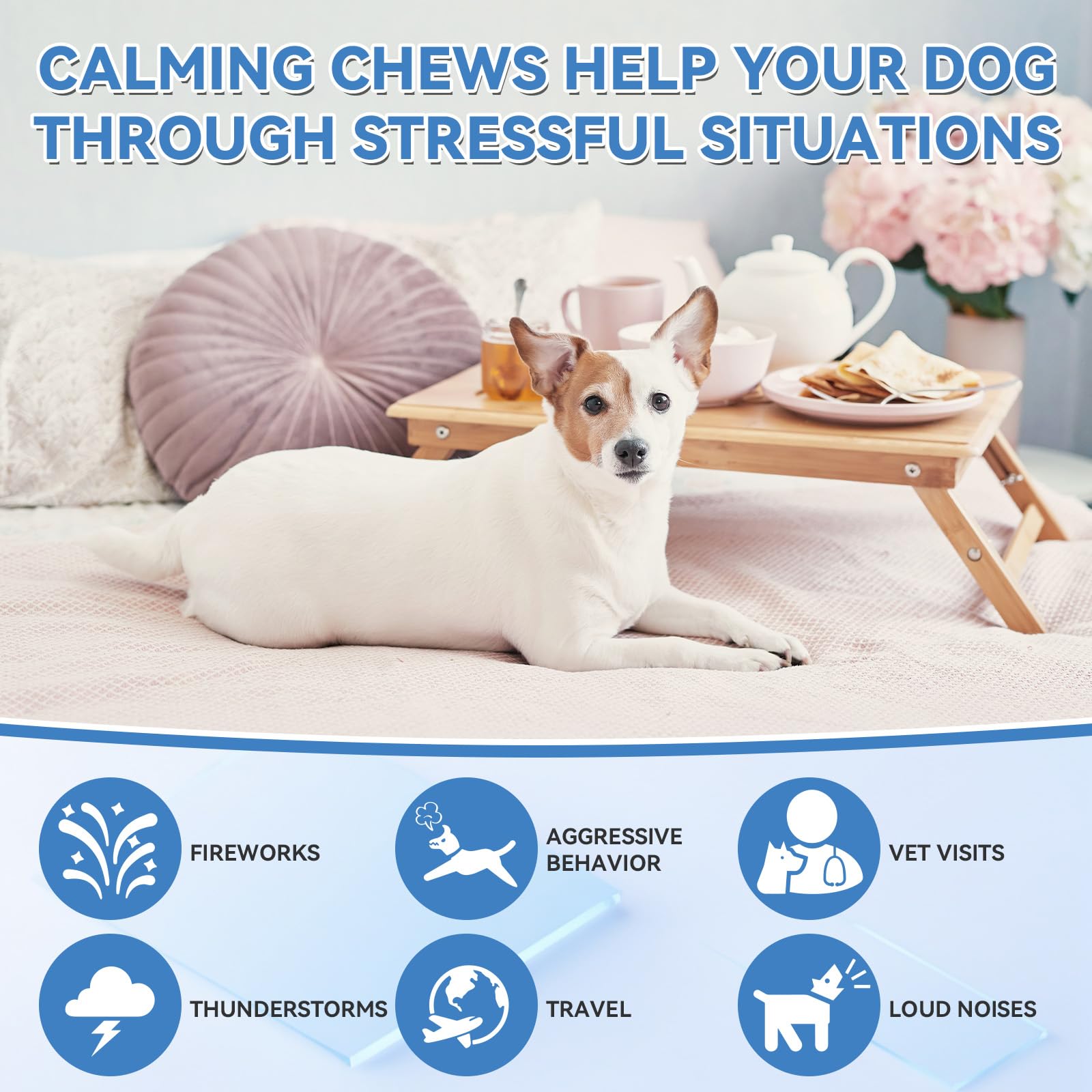 Emballage WEALLIN chews sur fond neutre, présentation pratique et fiable.