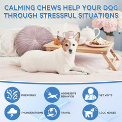 Emballage WEALLIN chews sur fond neutre, présentation pratique et fiable.