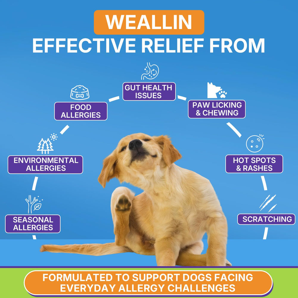 WEALLIN friandises avec probiotiques et oméga-3 pour digestion et peau.
