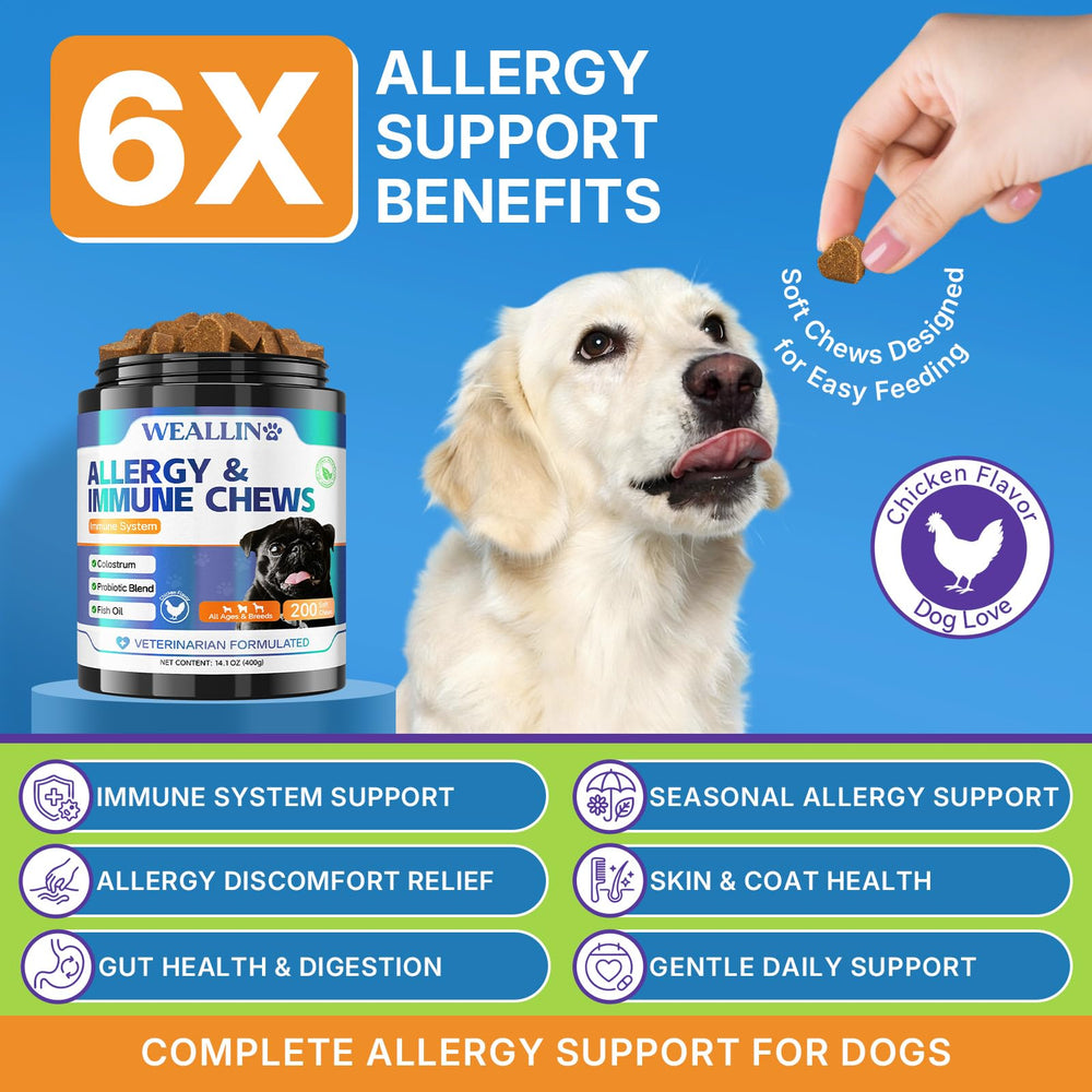 WEALLIN friandises pour chien, texture douce facilitant la mastication.