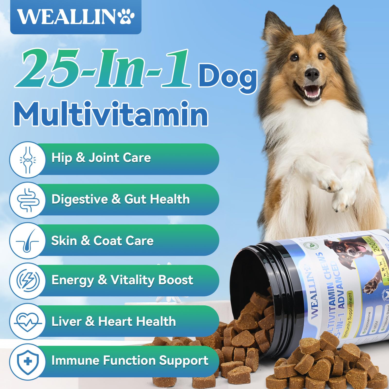 WEALLIN comprimés masticables : friandise savoureuse pour des prises quotidiennes faciles.