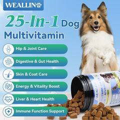 WEALLIN comprimés masticables : friandise savoureuse pour des prises quotidiennes faciles.