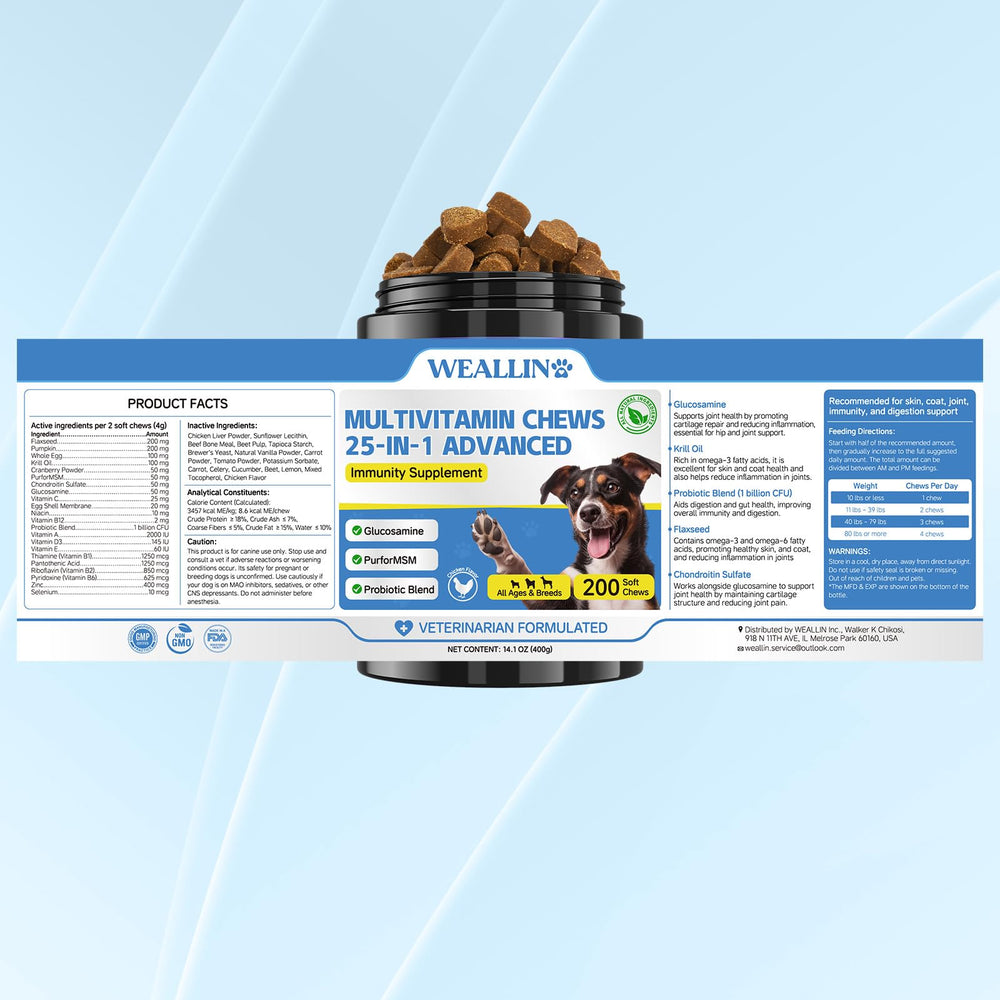 WEALLIN utilisation quotidienne : compléments faciles à intégrer pour chiens actifs.