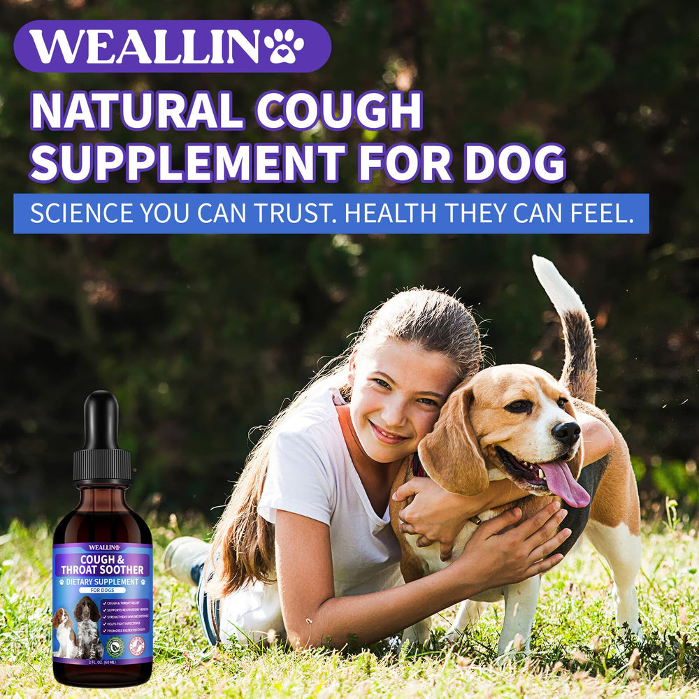WEALLIN echinacea-renforcement-immunitaire, soutien naturel