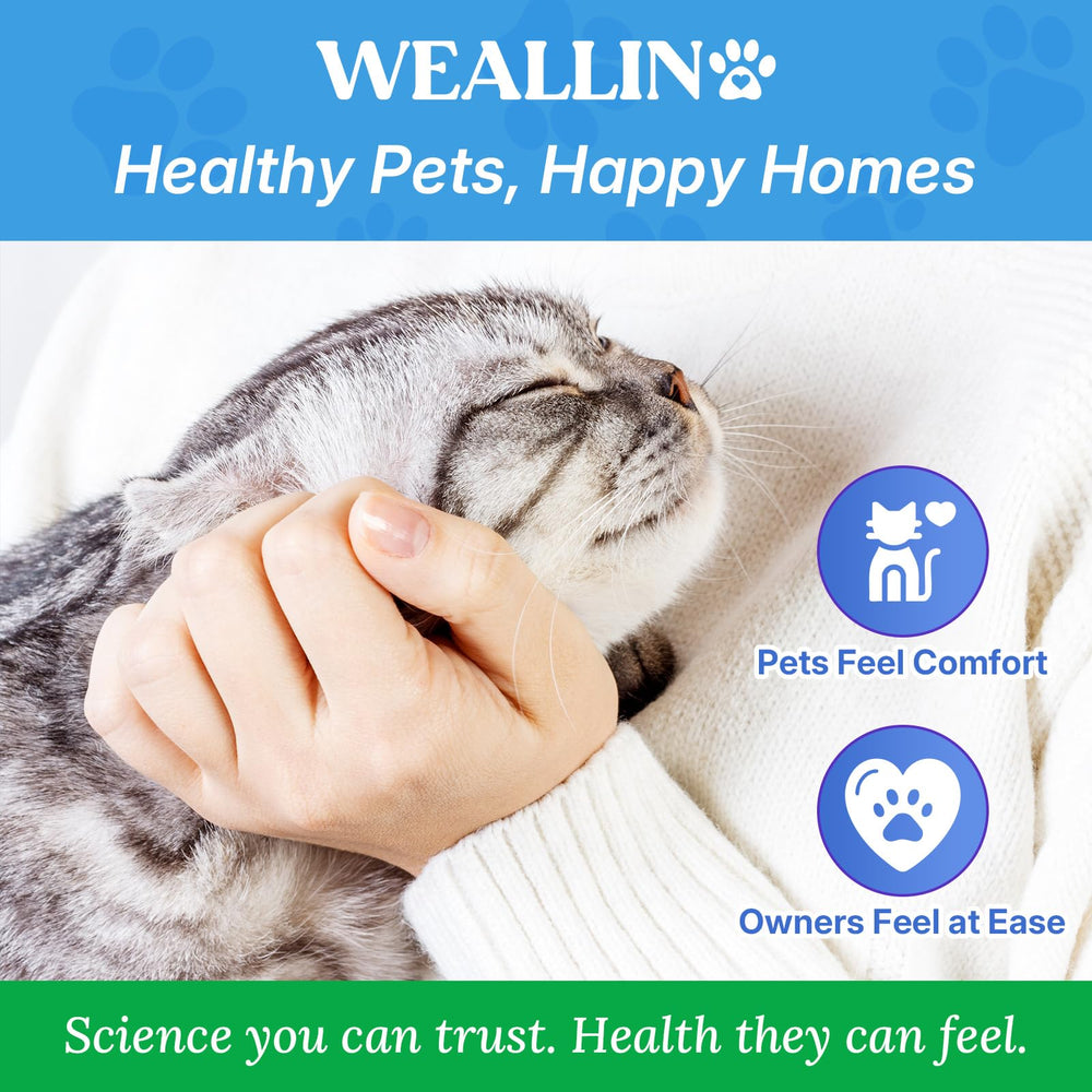 WEALLIN: emballage clair avec 6 doses fournies