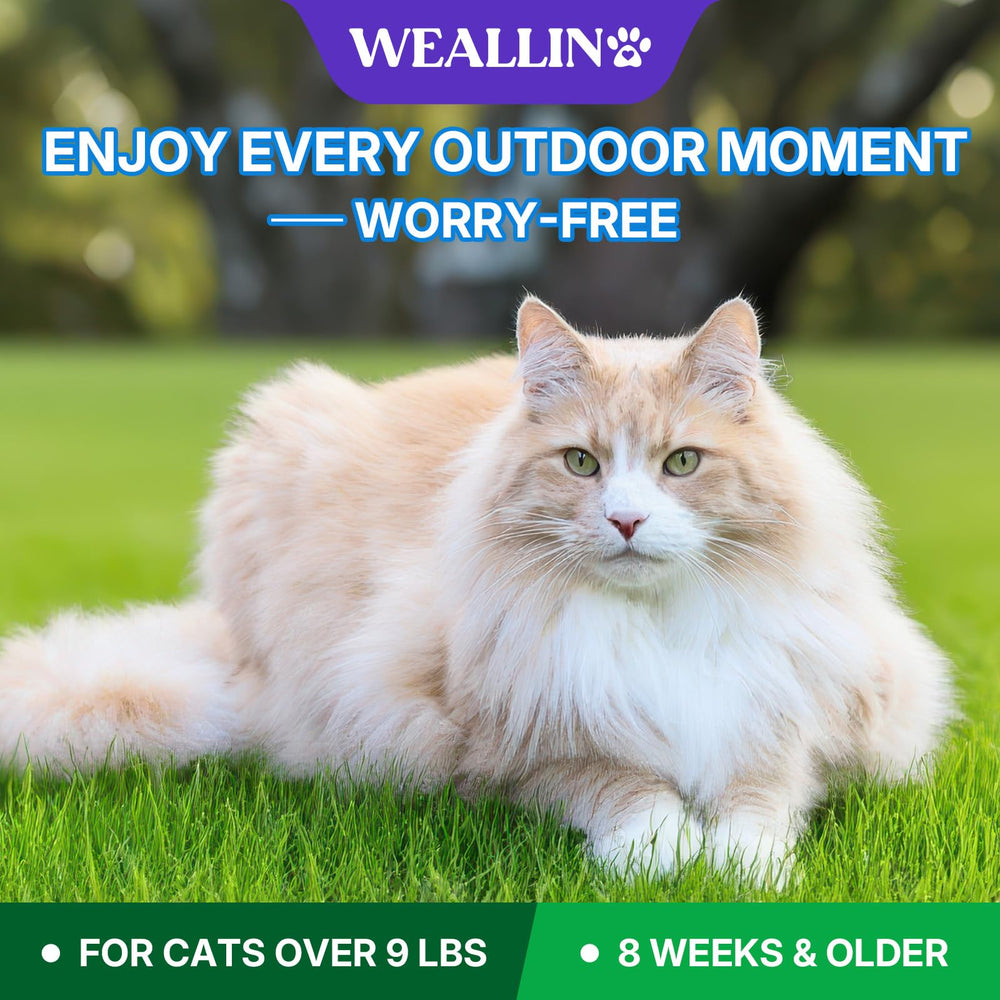 WEALLIN: format 6 doses adapté aux grands chats