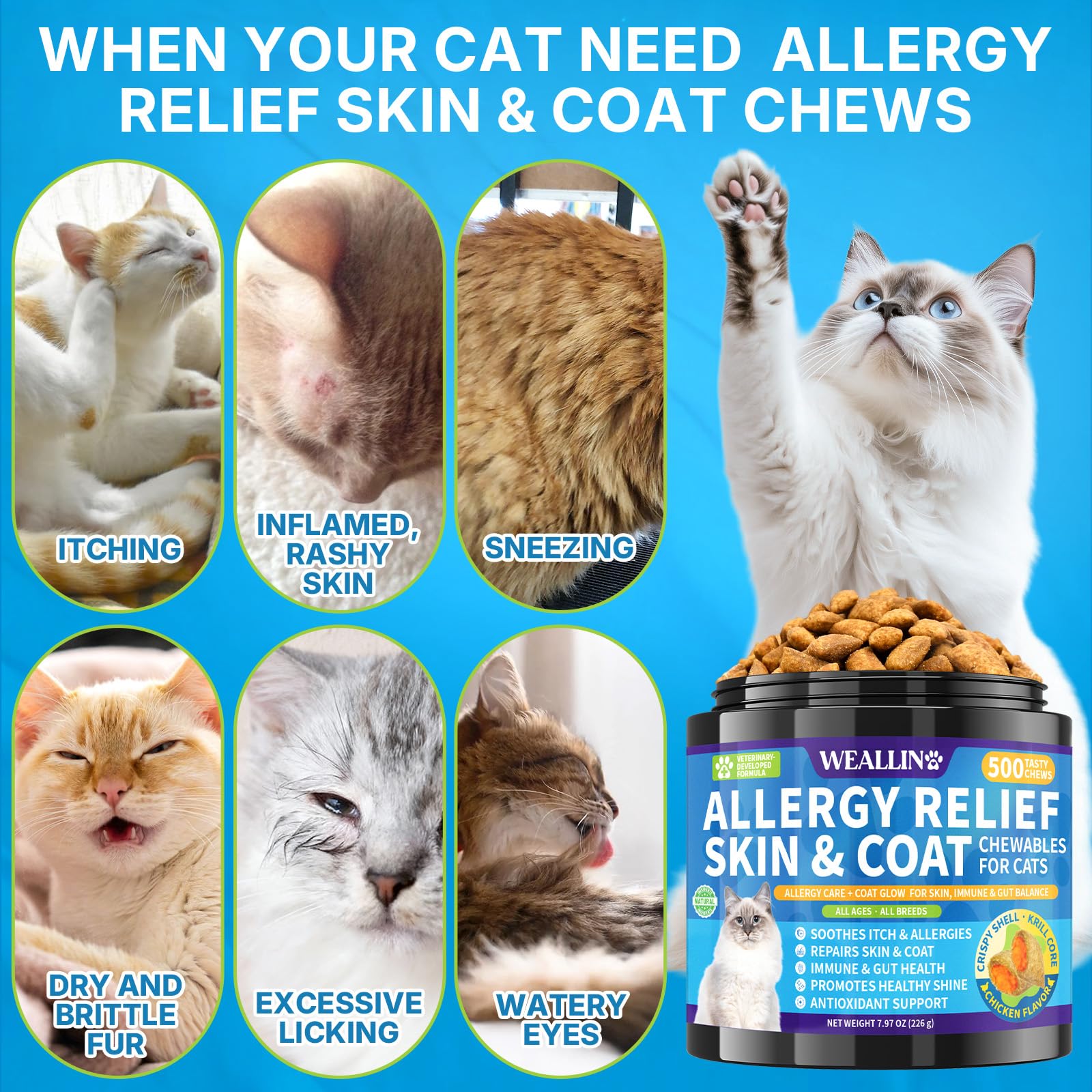  WEALLIN immunite chat: probiotiques et nutriments essentiels pour l equilibre intestinal.