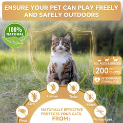WEALLIN: ingrédients levure bière chat, soutien peau et système immunitaire.