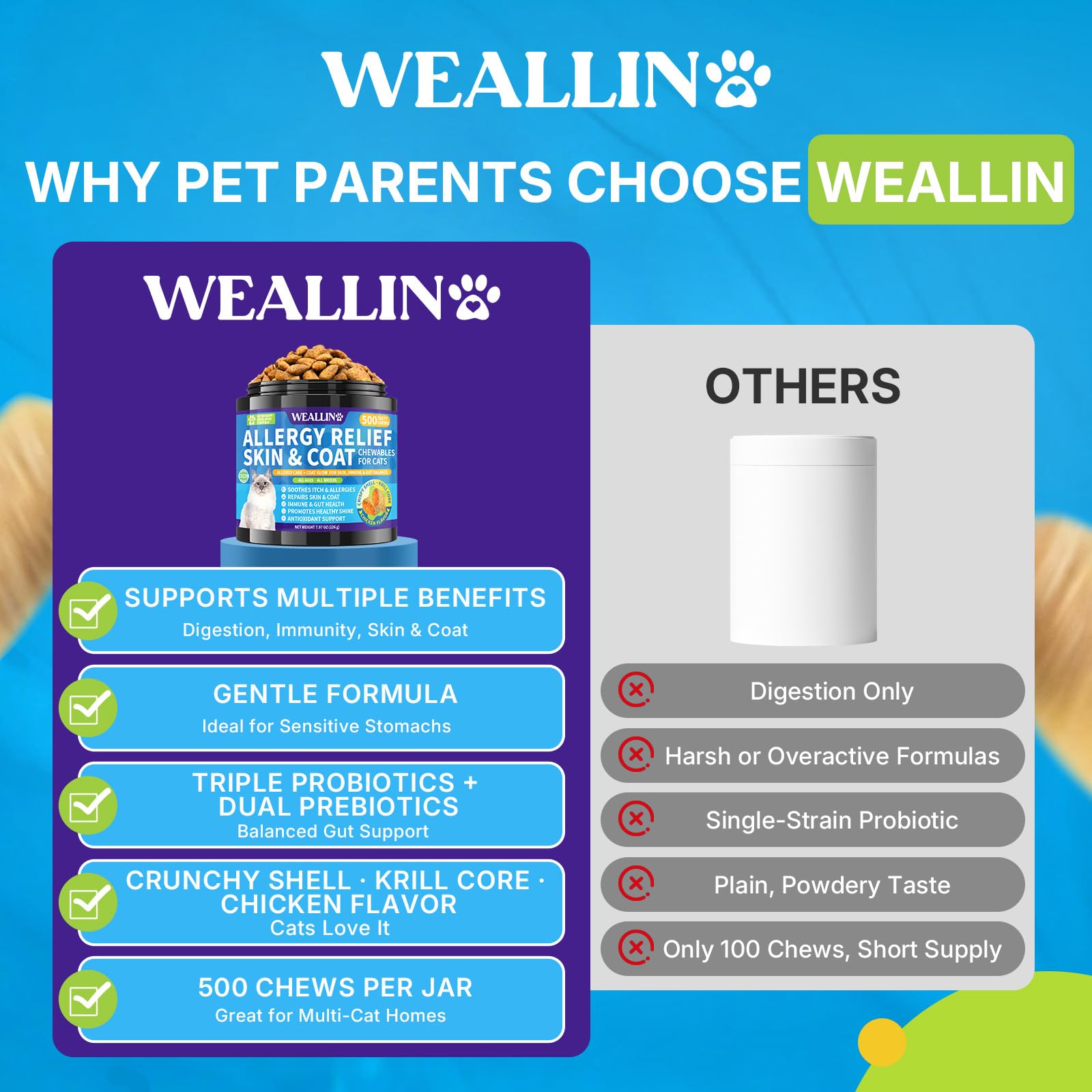 WEALLIN lot 500 friandises chat: option durable pour plusieurs chats.