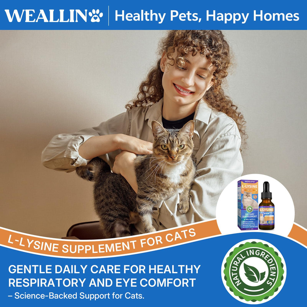 WEALLIN L-lysine: ingrédients naturels et sans additifs artificiels.