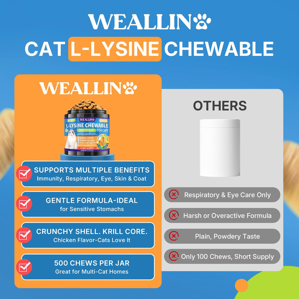 WEALLIN L-Lysine pour chats – beta-glucane, défense naturelle soutenue.