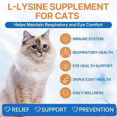 WEALLIN L-lysine pour chats: gouttes simples à doser, idéal pour l'alimentation quotidienne.