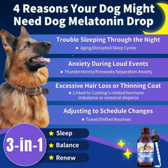 WEALLIN Mélatonine pour chien - pipette doseuse prête à l’emploi