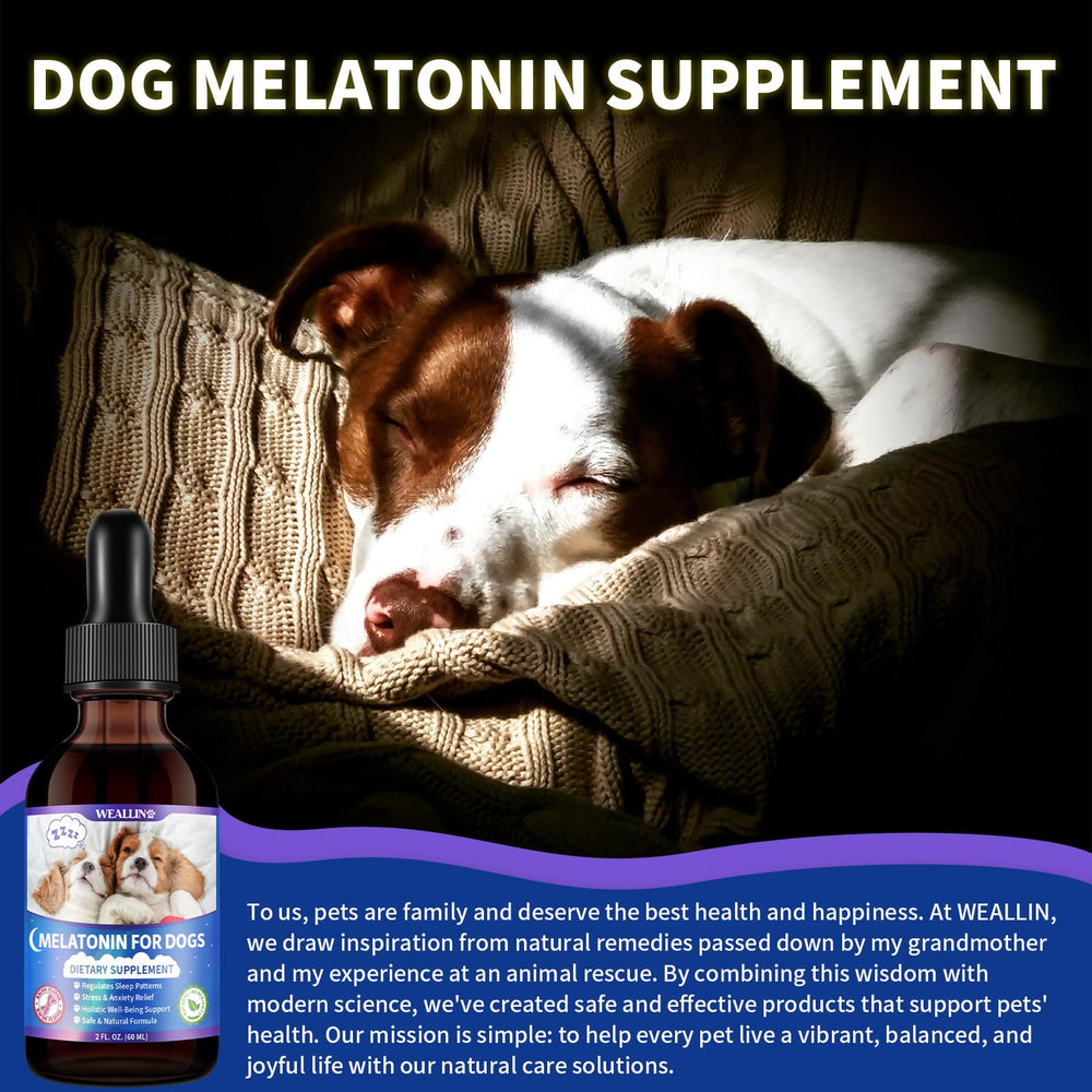 WEALLIN Mélatonine pour chien - routine nocturne prometteuse