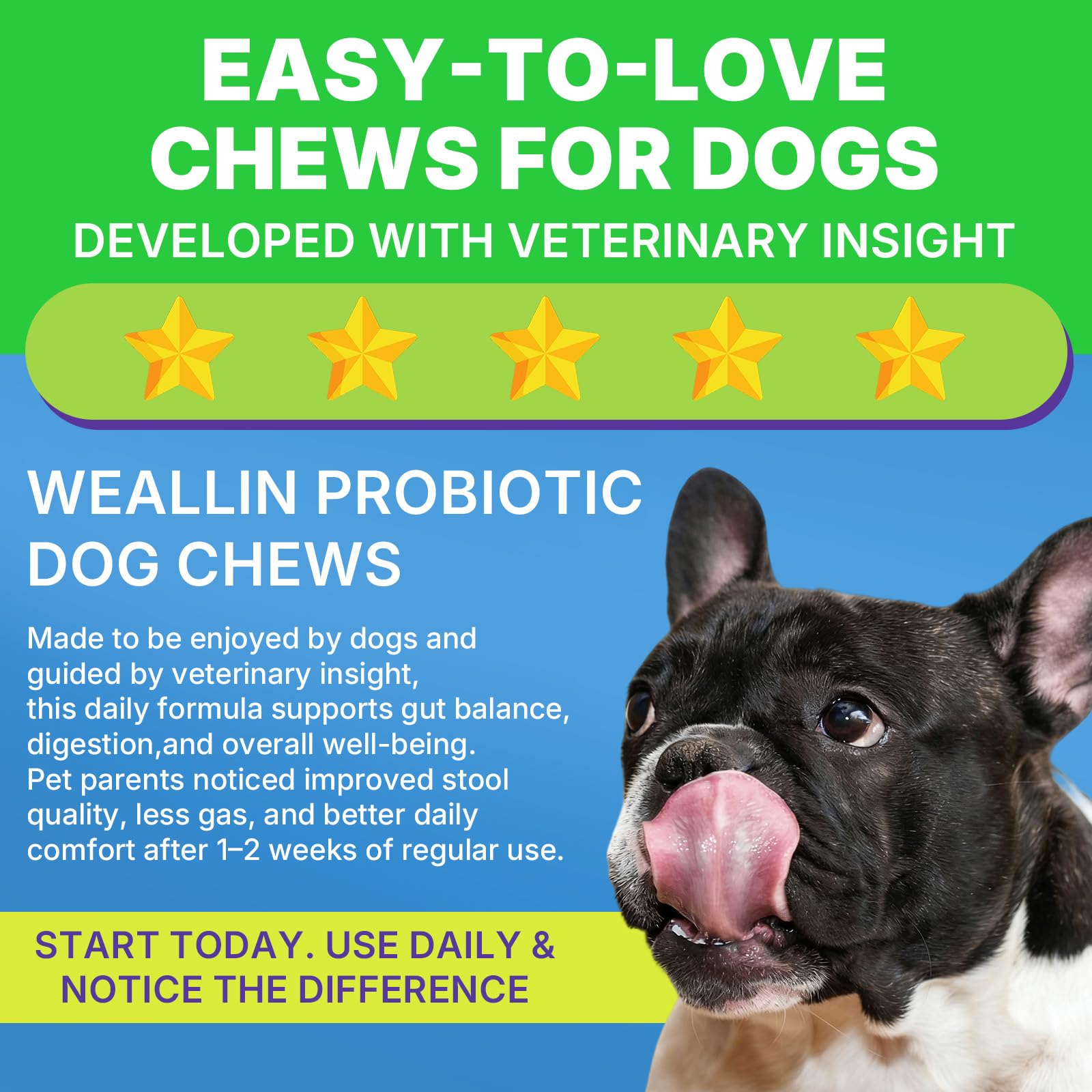 WEALLIN prébiotiques chicorée - soutien nutritionnel et flore intestinale.