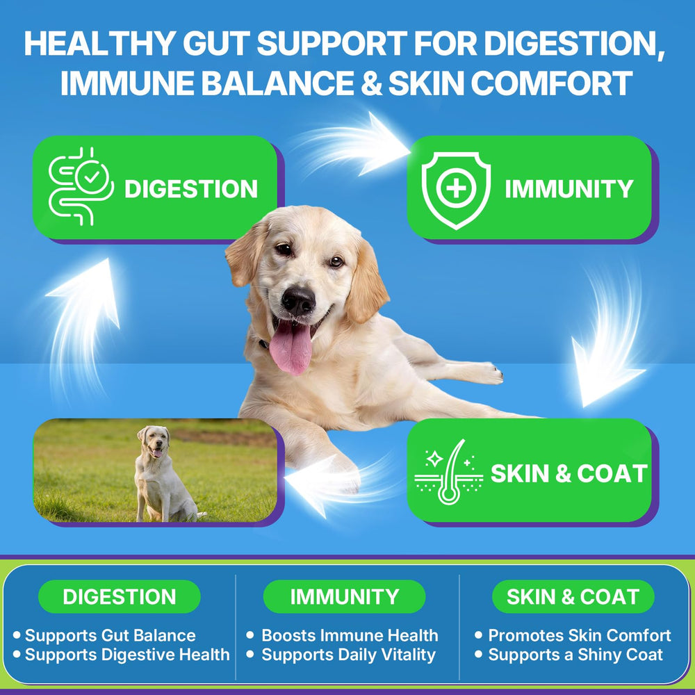 WEALLIN probiotiques bacillus subtilis - ingrédients clés pour équilibre intestinal.