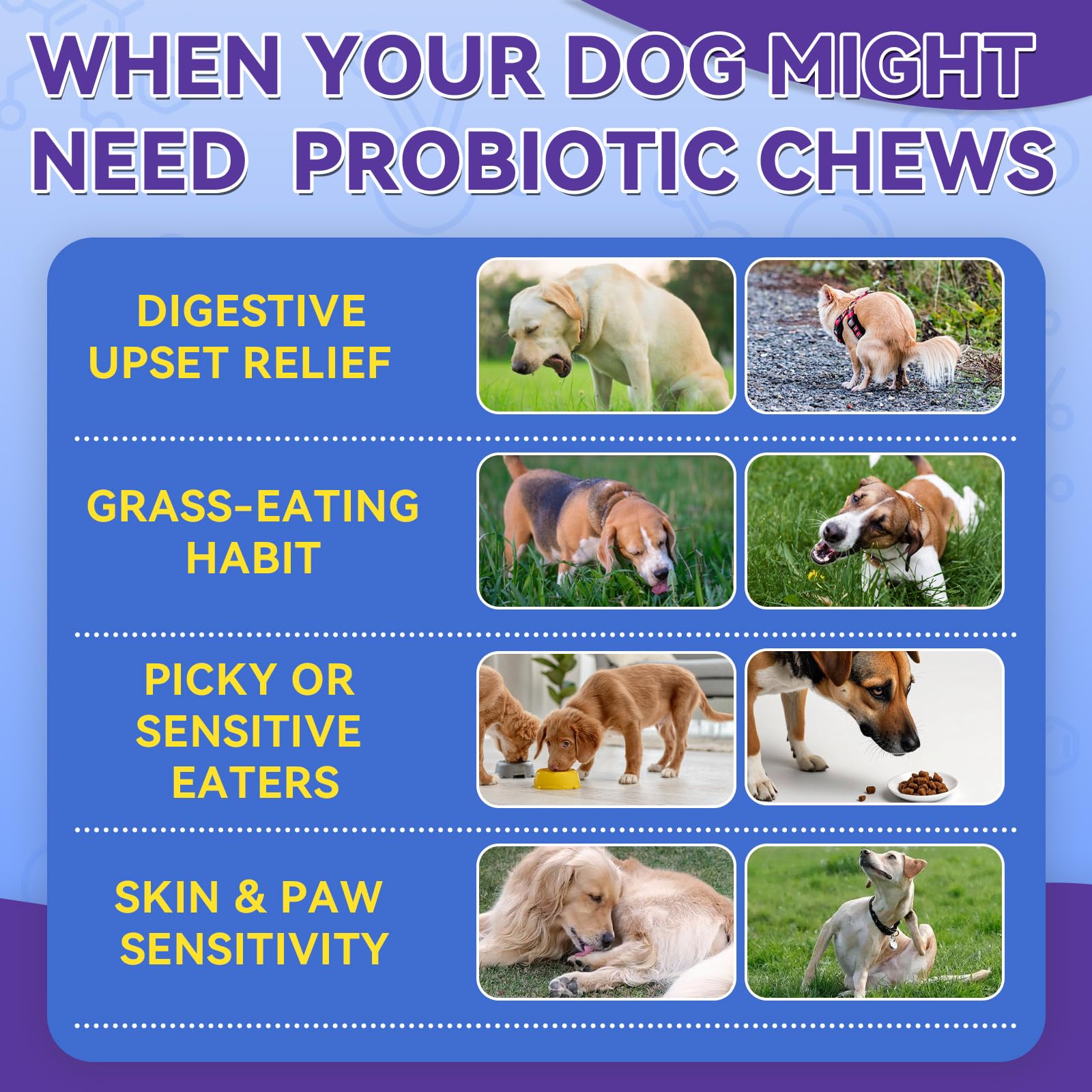 WEALLIN Probiotiques Chien – coquille croustillante favorisant l'ingestion
