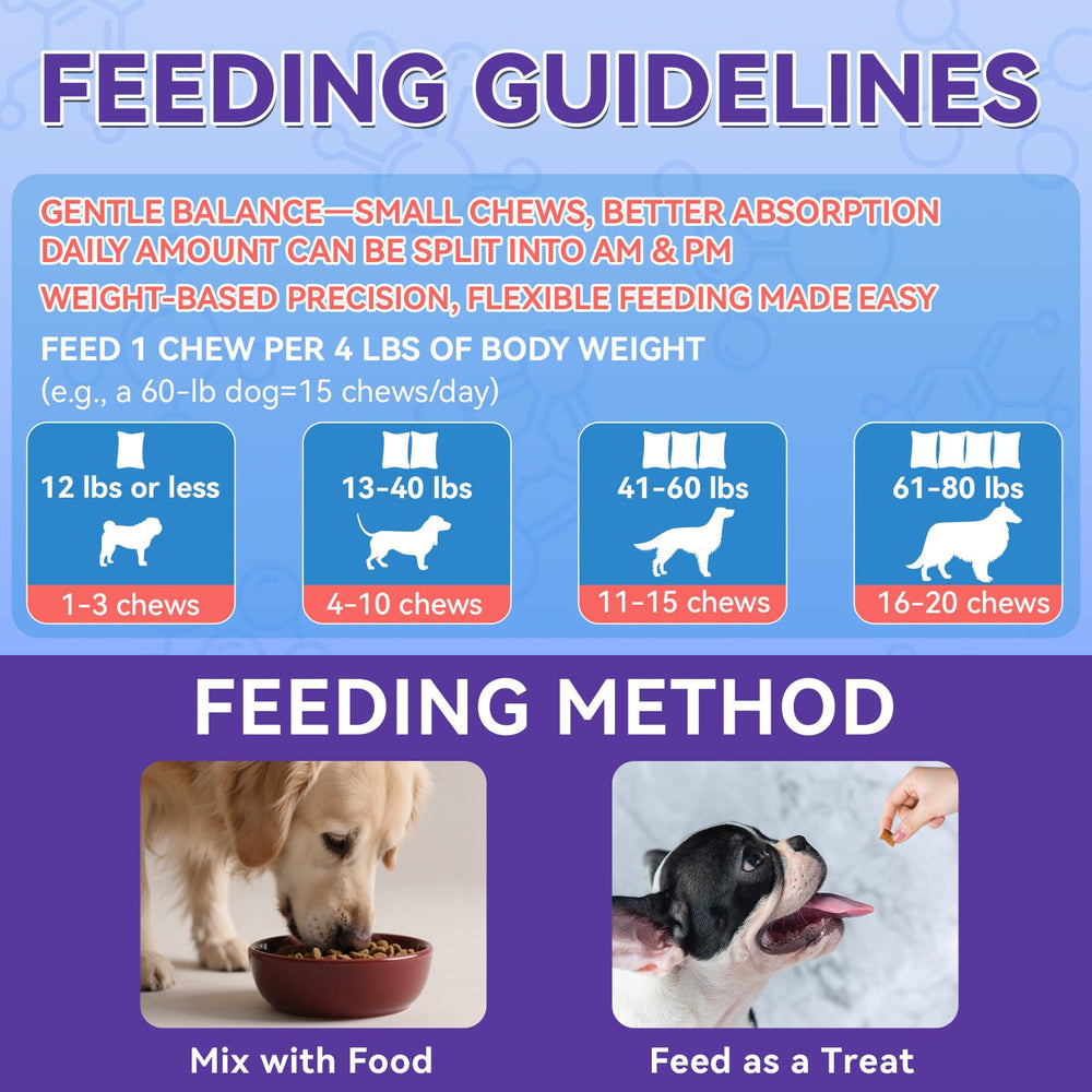 WEALLIN Probiotiques Chien – équilibre intestinal et absorption