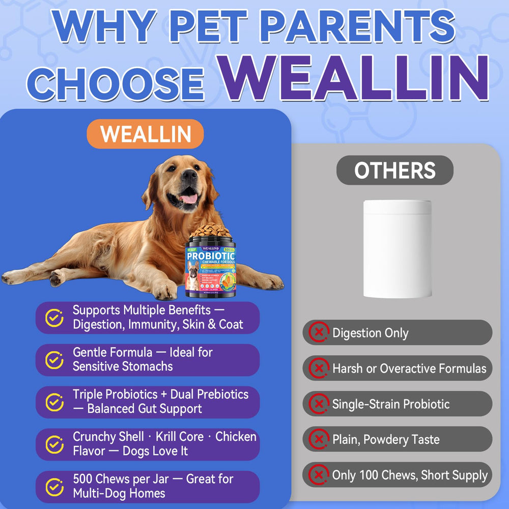 WEALL Probiotiques Chien – portions quotidiennes adaptées
