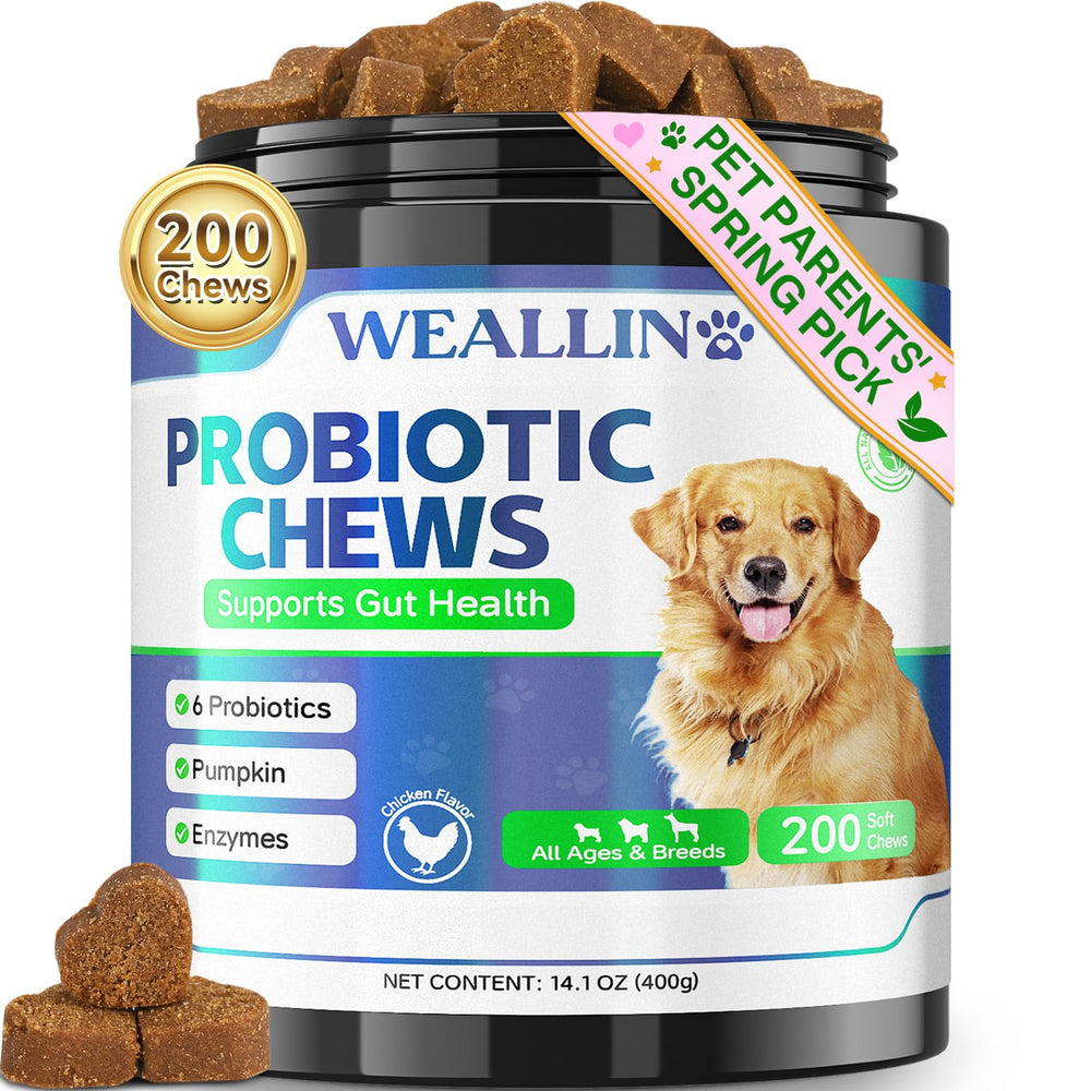 WEALLIN probiotiques chien - bouchées poulet, soutien digestif doux et appétence naturelle.