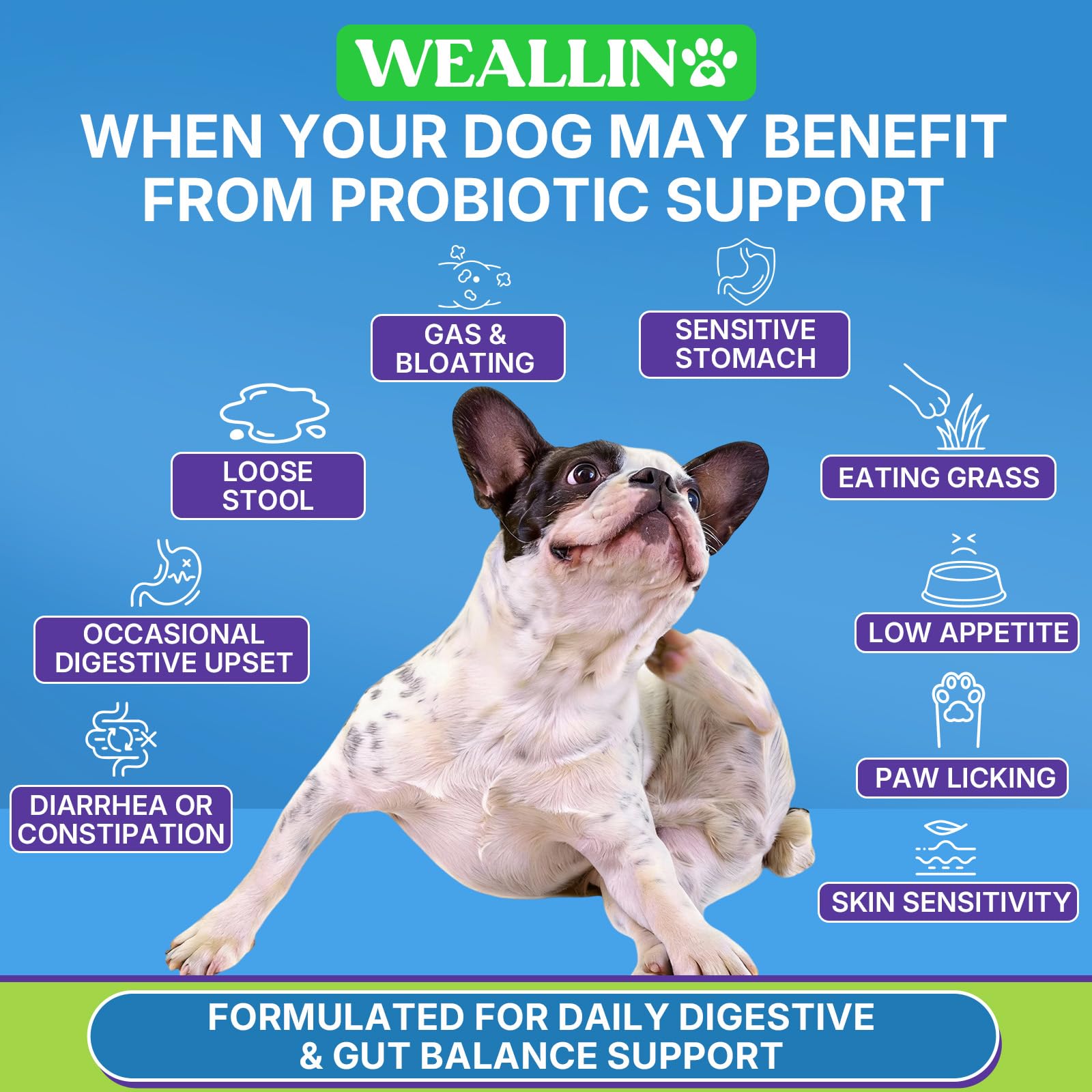 WEALLIN texture molle - bouchées probiotiques pour chien, dégustation facile.