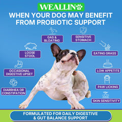 WEALLIN texture molle - bouchées probiotiques pour chien, dégustation facile.
