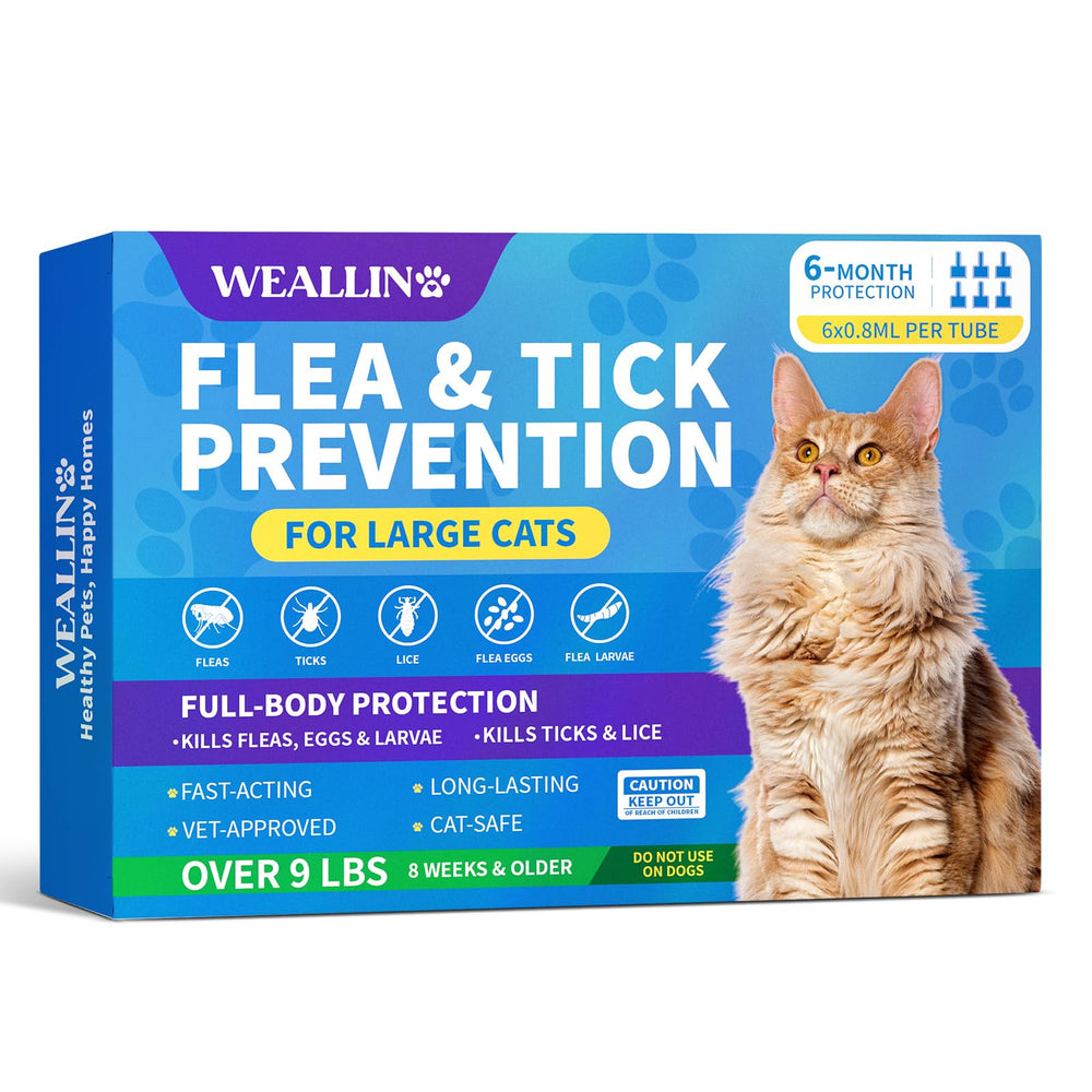 WEALLIN: application entre les omoplates pour chat grand taille, protection ciblée