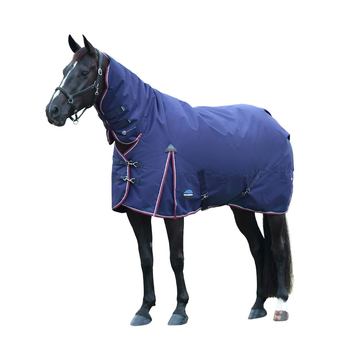 WeatherBeeta ComFiTec Essential Turnout 360g: dos imperméable protégeant le cheval de la pluie.