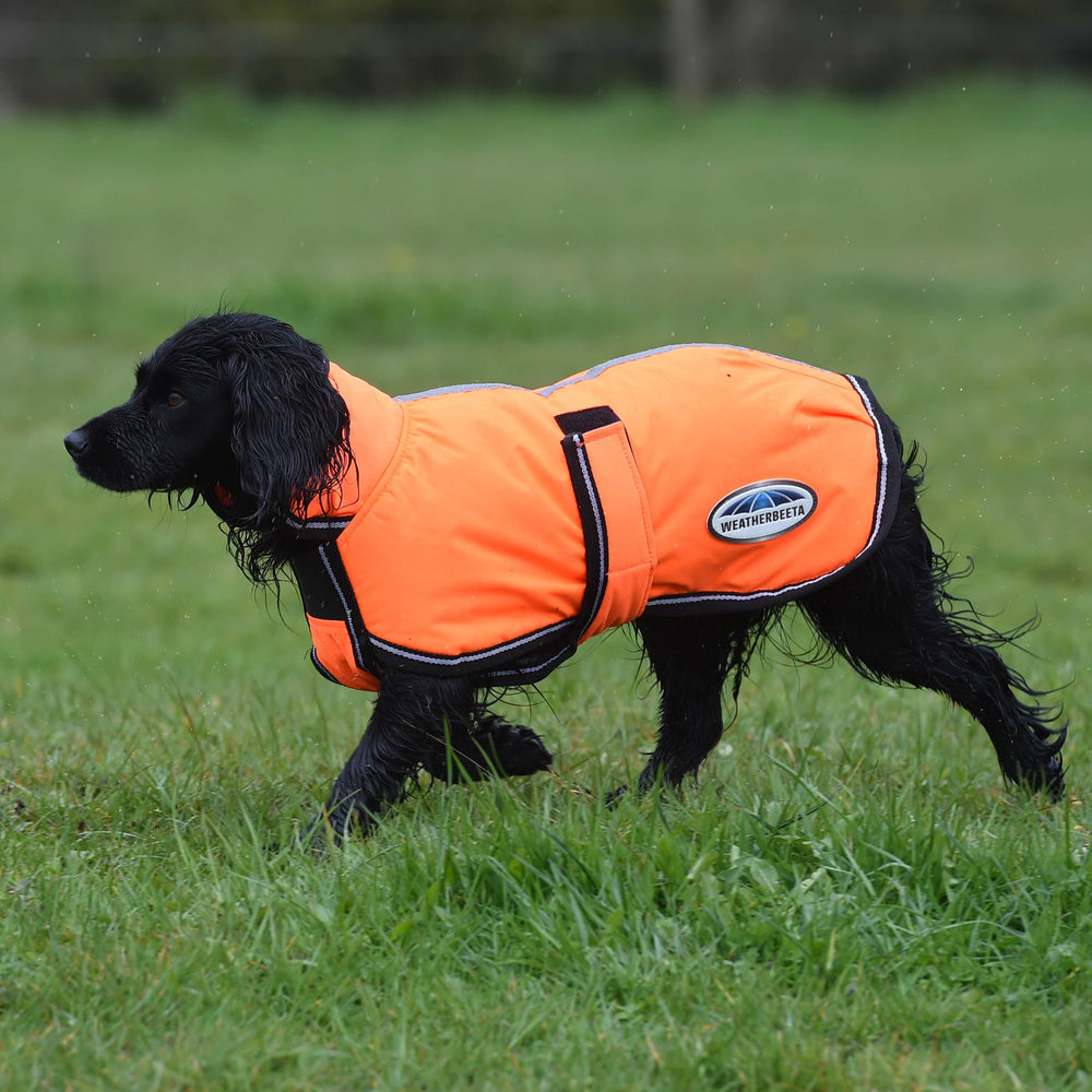 WeatherBeeta ComFiTec Reflective Parka motifs réfléchissants pour meilleure visibilité