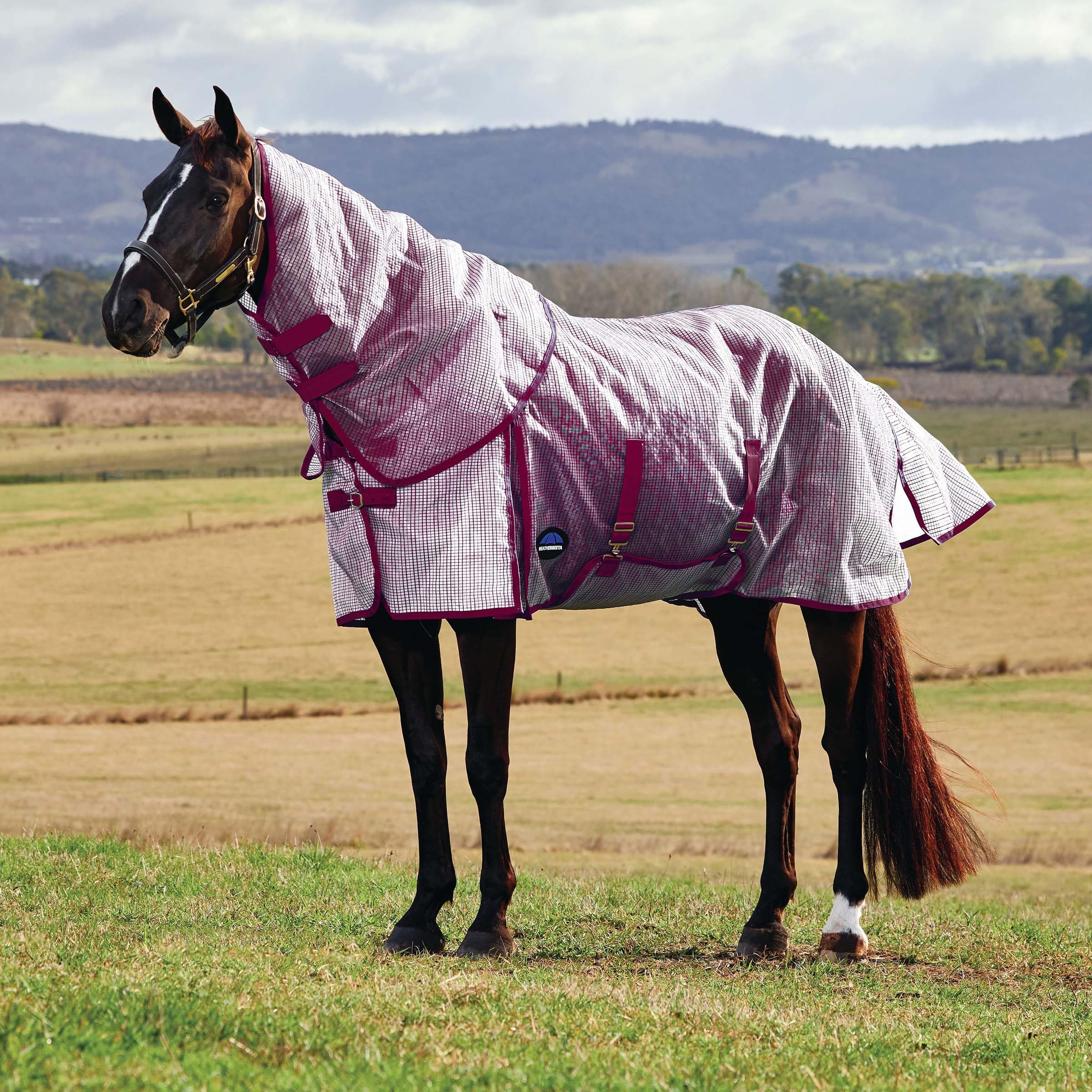 WeatherBeeta ComFiTec Ripshield Detach-A-Neck arrière — durabilité et liberté de mouvement.