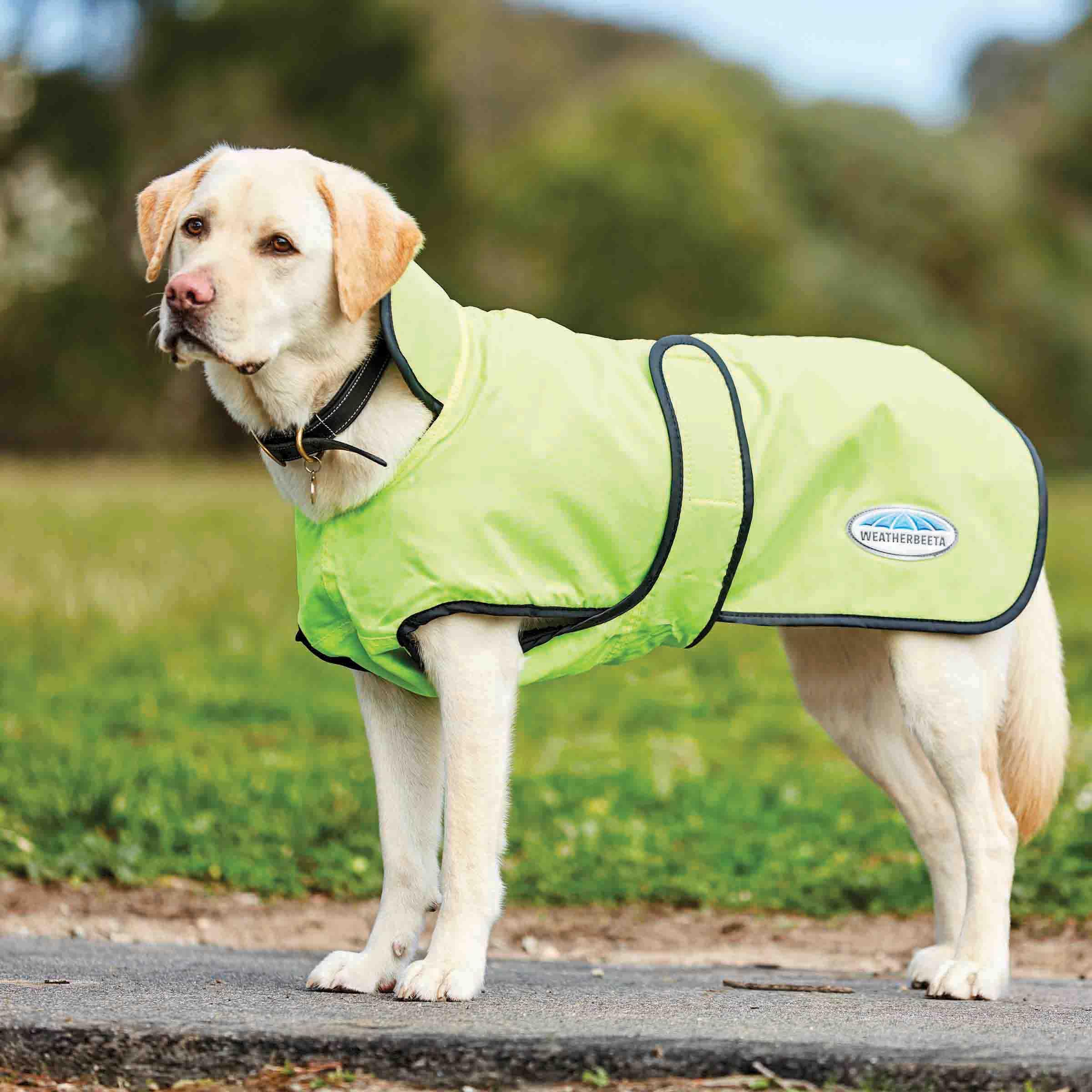 WeatherBeeta Windbreaker 420D Deluxe: col élevé pour plus de chaleur et confort.