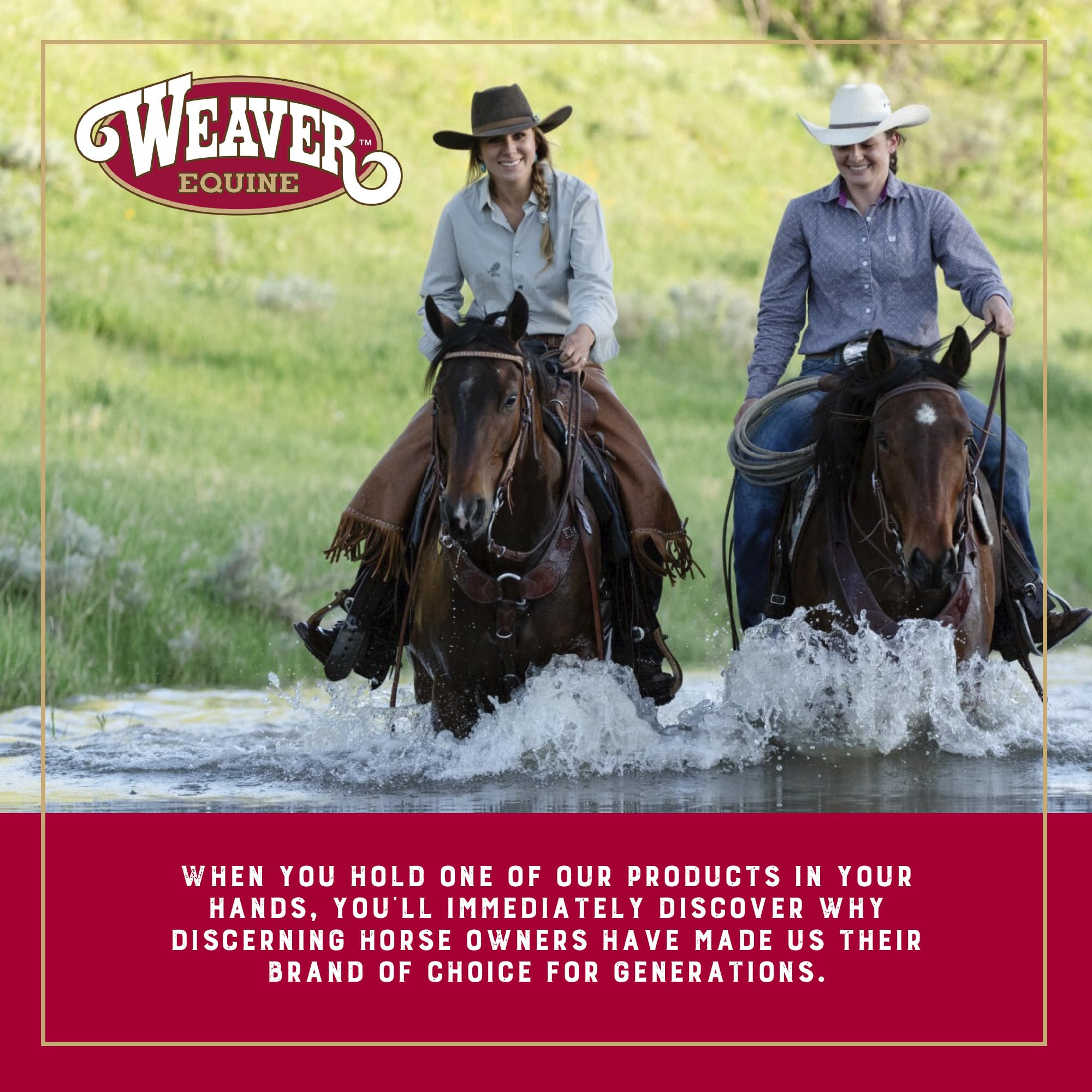 Weaver Equine kit-sweat-scraper-curry: outil deux en un pour éliminer saleté et sueur rapidement.