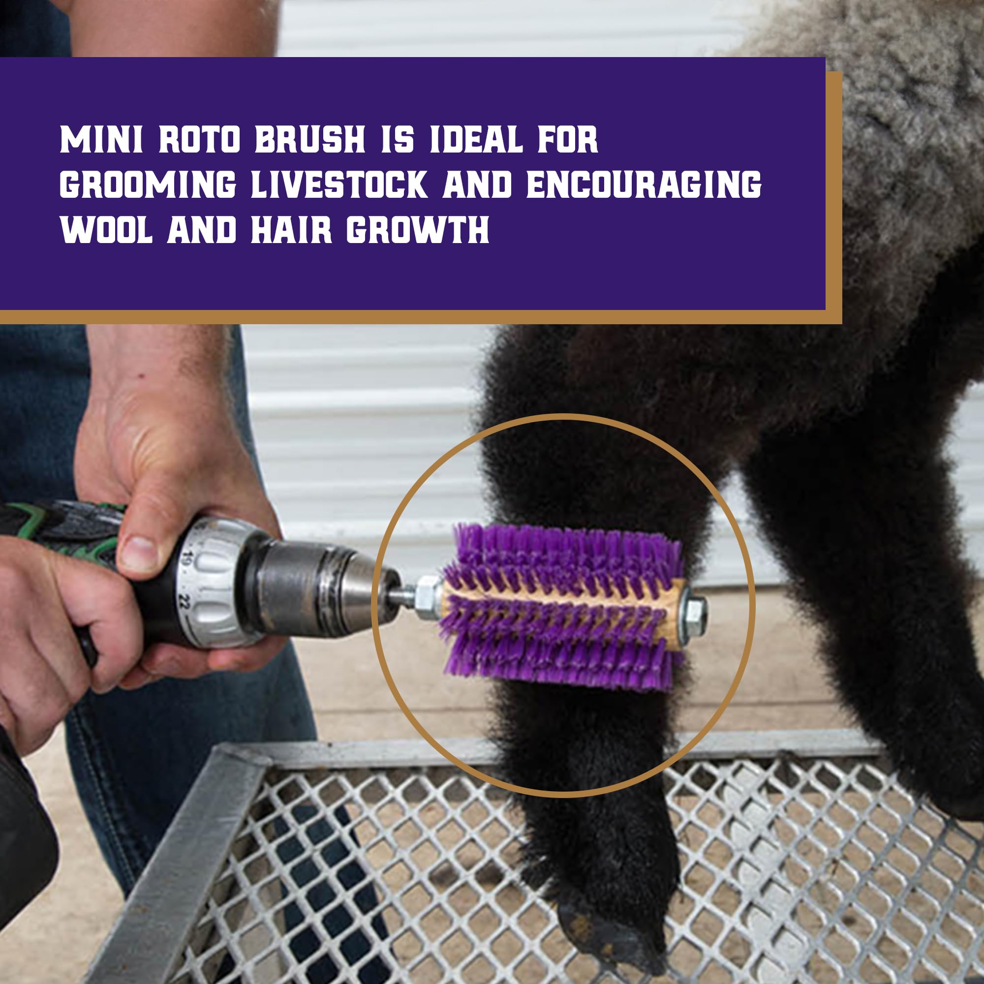 Weaver Leather Mini Roto Brush : rangées de soies longues et courtes pour une définition optimale.
