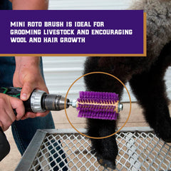Weaver Leather Mini Roto Brush : rangées de soies longues et courtes pour une définition optimale.