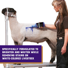 Weaver Livestock Shampoo poil-blanc: blancheur renforcée et douceur cutanée.