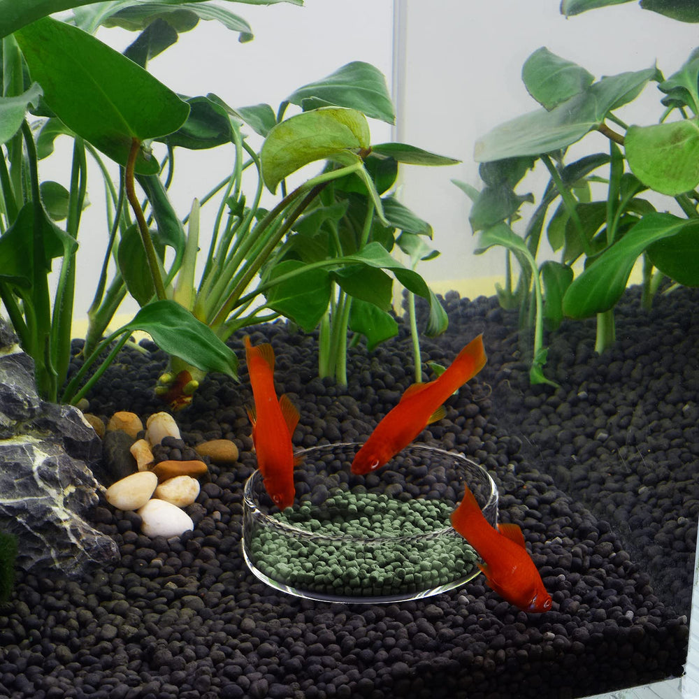 WEAVERBIRD nourrissage aquarium verre transparent – permet de doser facilement et proprement