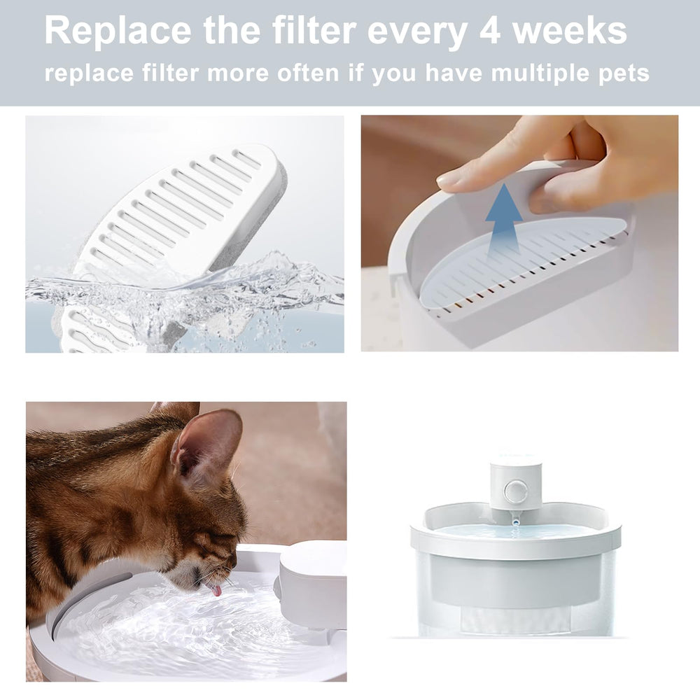 Pack filtration quotidien: idéal pour plusieurs chats et eau renouvelée.