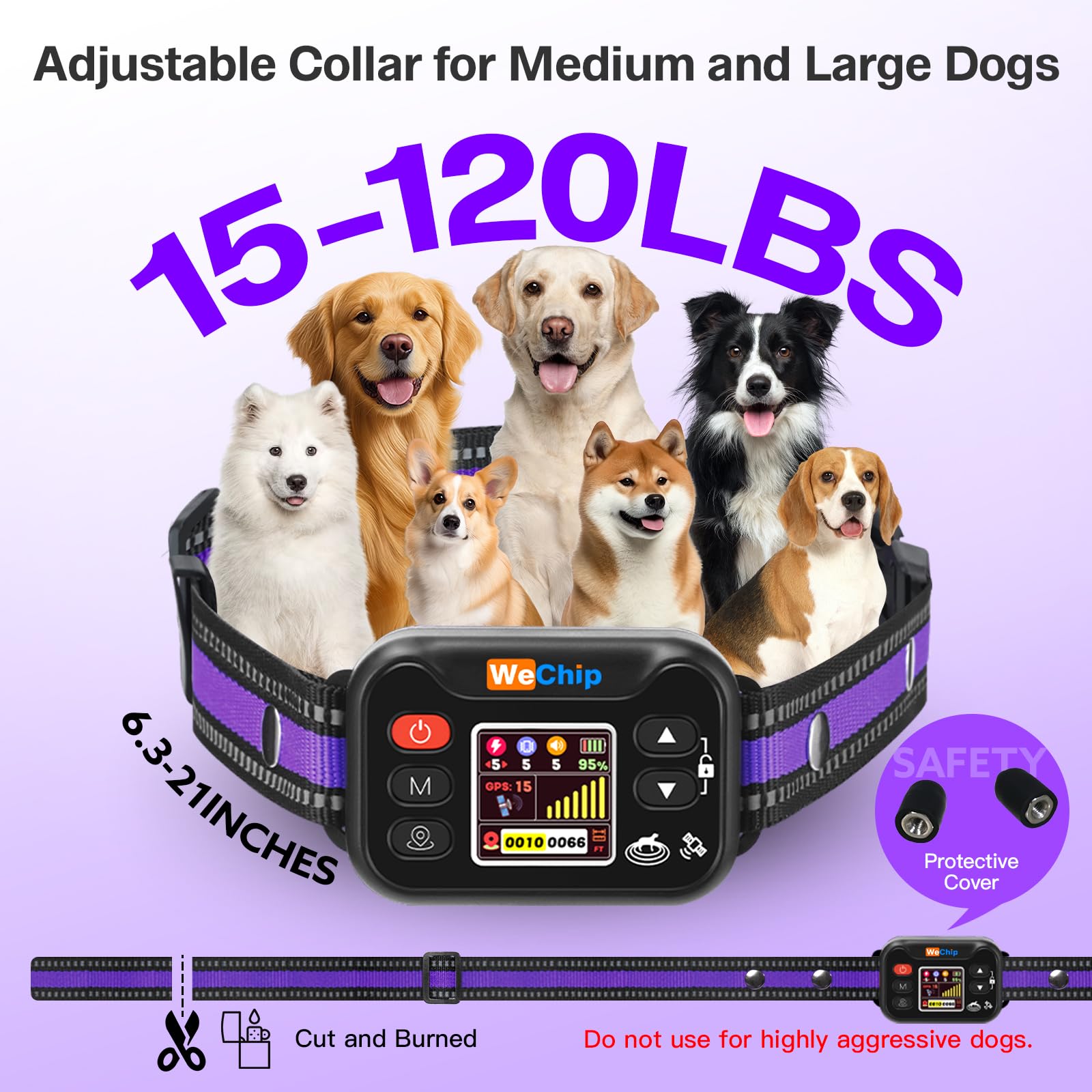 Système d’alertes à 3 niveaux WeChip pour guider votre chien en douceur.