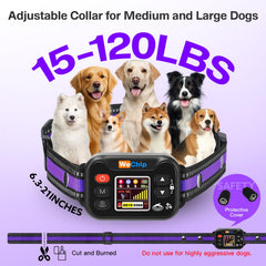 Système d’alertes à 3 niveaux WeChip pour guider votre chien en douceur.