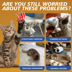 WEENINE répulsif chat brume fine, application rapide sur les surfaces.