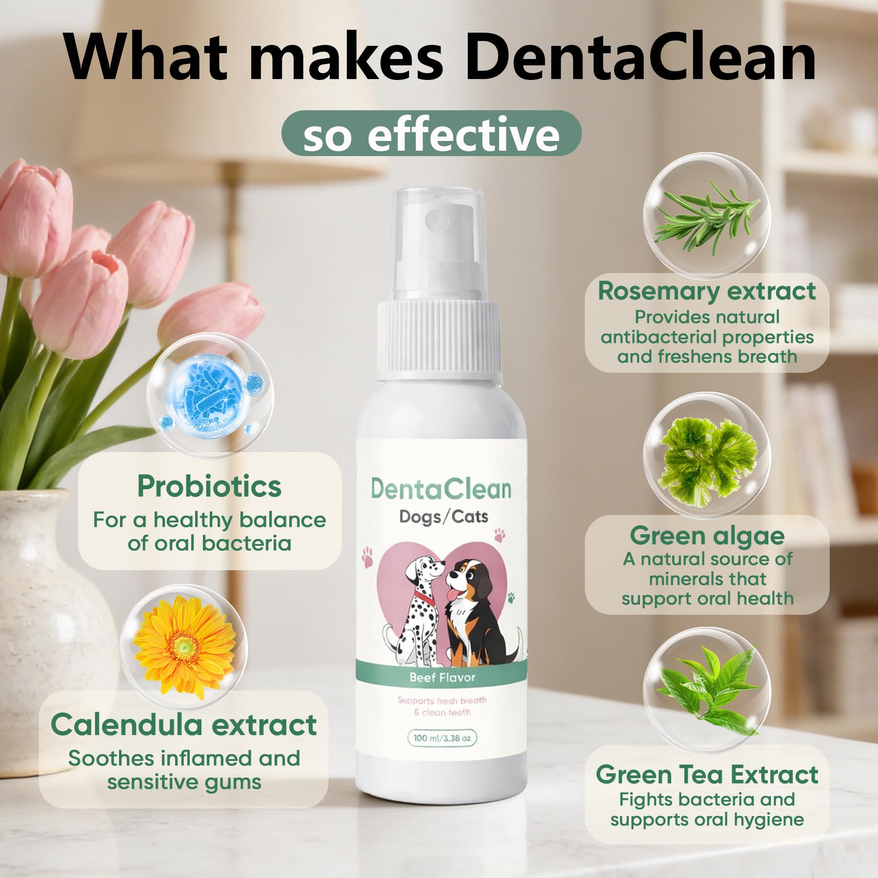 Weershun Dentaclean Spray sur les dents, hygiène buccale sans brossage.