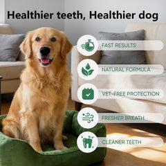 Weershun Dentaclean Spray apaise les gencives et réduit la plaque.