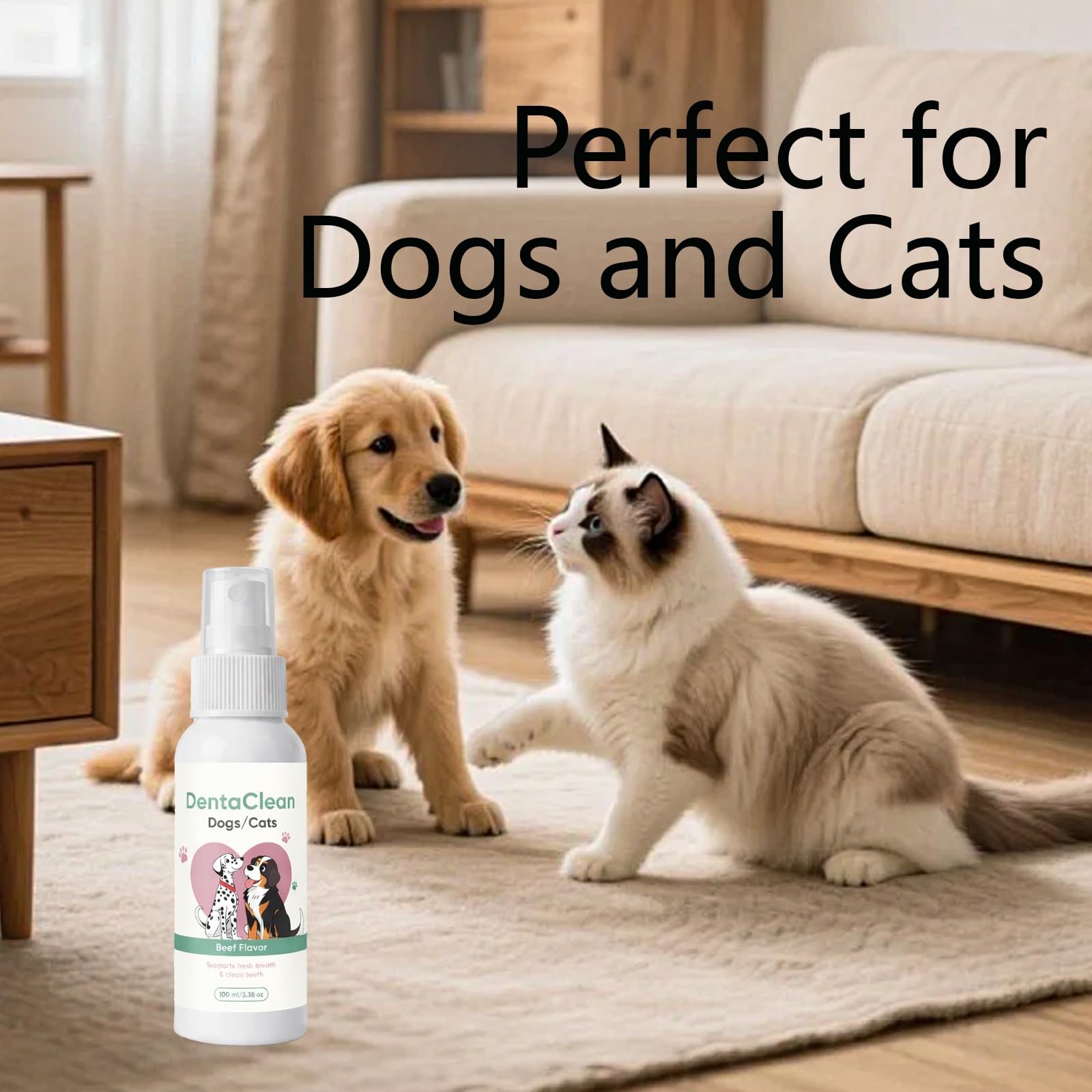 Weershun Dentaclean Spray sans alcool protège l’équilibre buccal.