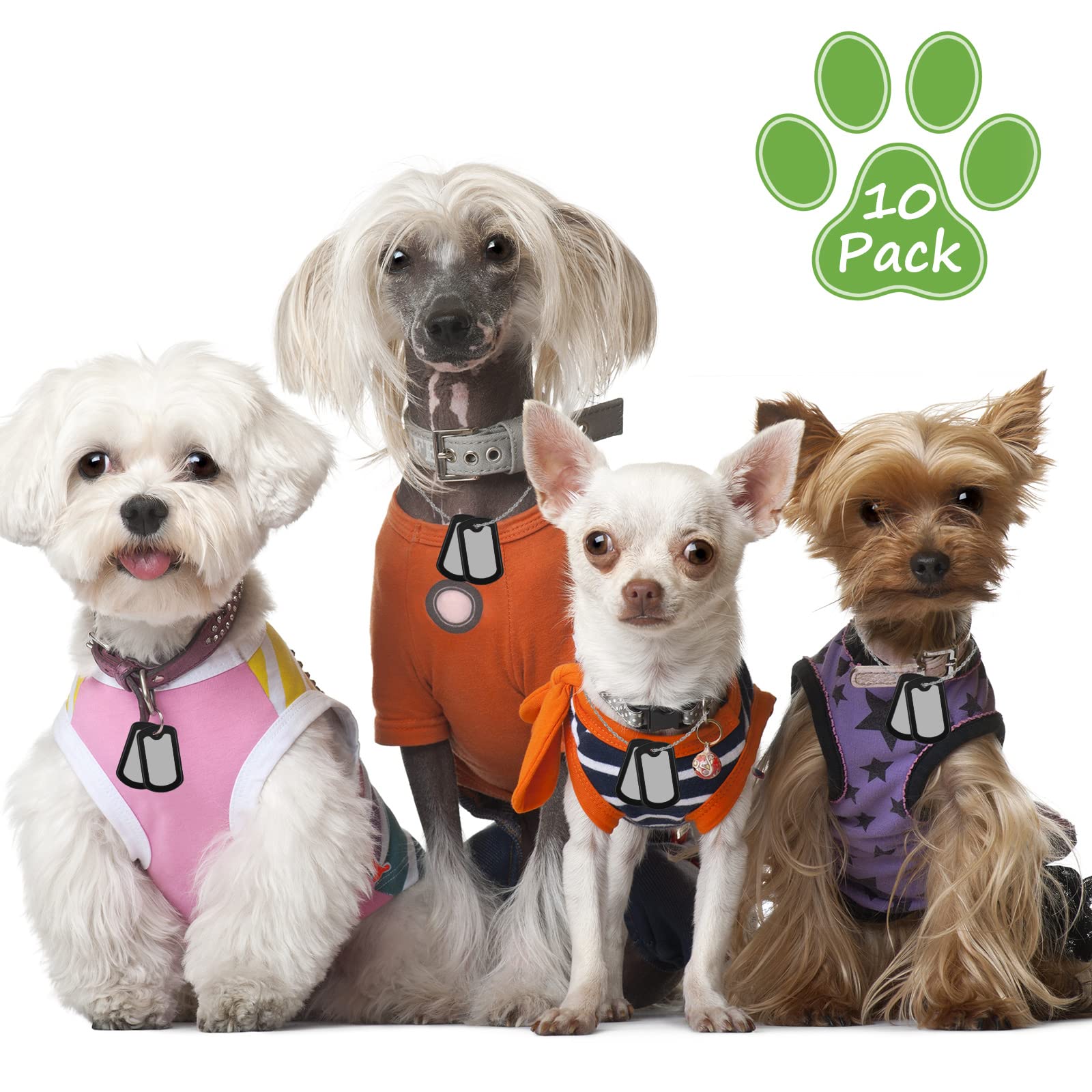 Weewooday accessoire silicone identifiant chien, installation rapide et simple.