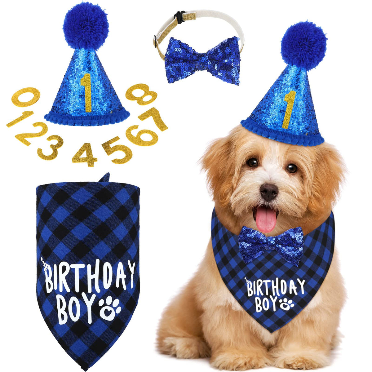 Weewooday bandana anniversaire chien pour un look festif en photos
